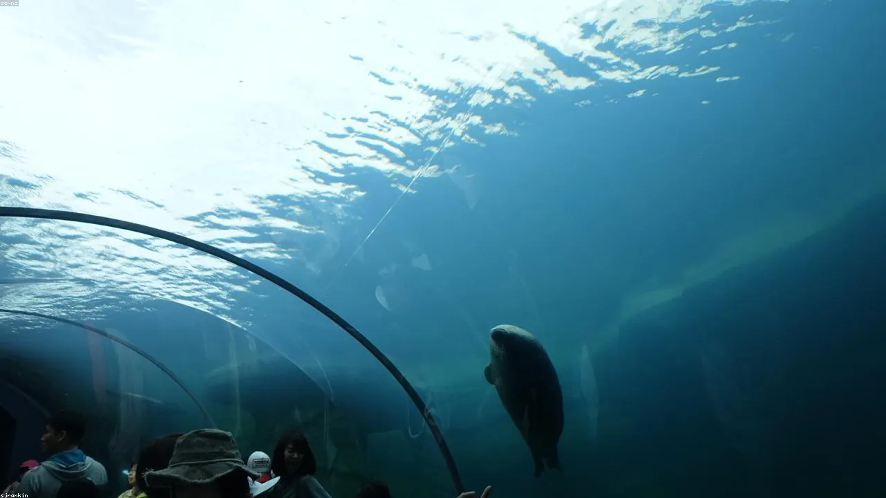 The Kyushu-side entrance to the Kanmon undersea pedestrian tunnel at Mekari Park