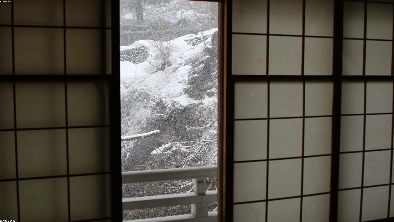 Traditional Japanese onsen bath with stone walls and steaming water